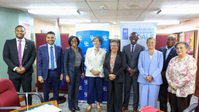 Photo of Unlocking AI Potential: CARICOM and UNDP collaborate on Capacity-Building Initiative