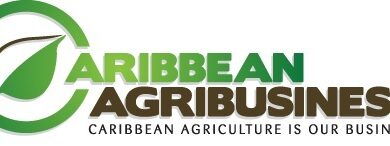 Photo of Promoting Agribusiness in the CSME