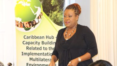 Photo of Capacity Building related to the Implementation of Multilateral Environmental Agreements (MEAS) in African, Caribbean and Pacific (ACP) Countries – The Caribbean Hub