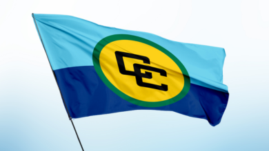 Photo of STATEMENT from the CARICOM Council for Foreign and Community Relations (COFCOR) | Israel’s Seizure and Control of Gaza
