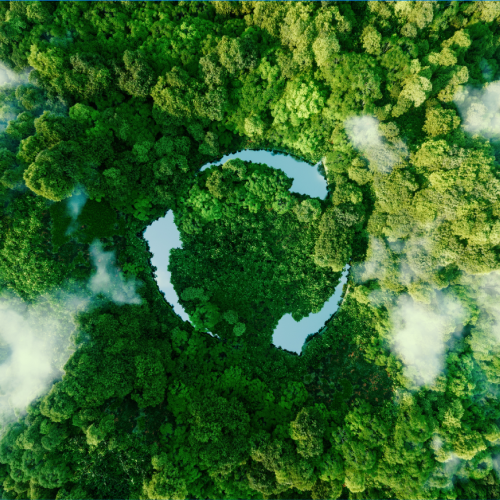 Climate Change and Sustainable Development